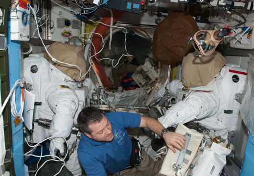 STS130-E-07624
