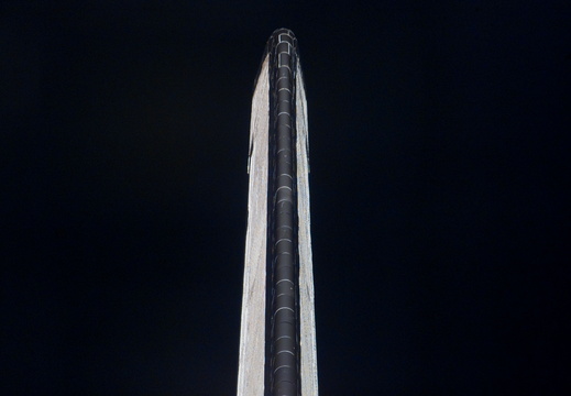 STS123-E-05687