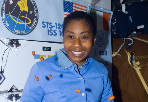 STS120-E-07200
