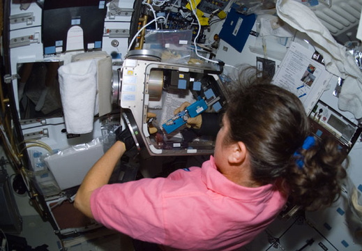 STS107-E-05746