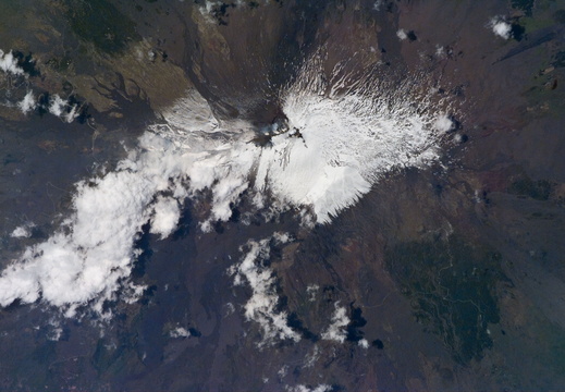 STS090-E-05176