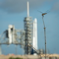 spacex-crs-11-cargo-mission-nhq201706010004_34644229910_o.jpg