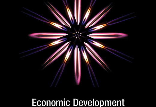 Economic Development of Low Earth Orbit