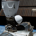 the-spacex-dragon-freedom-spacecraft-is-pictured-docked-to-the-station_52941648804_o.jpg