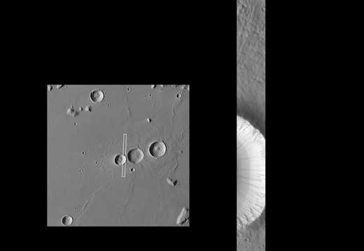 MARS SURVEYOR