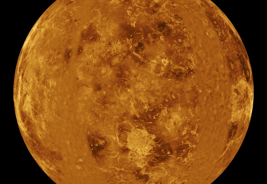 VENUS