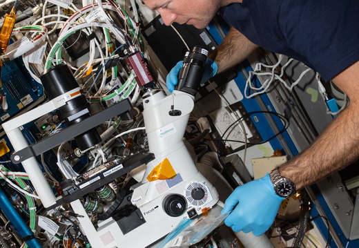 ISS070-E-026216