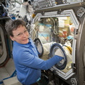 nasa-astronaut-peggy-whitson-works-inside-the-microgravity-sciences-glovebox_49915657893_o.jpg