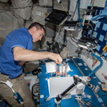 NASA Astronaut Chris Cassidy - 8906338844_ae45bc249d_o.jpg